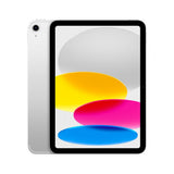 IR - iPad Wi-Fi 256GB - Silver